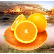澳橙 Sun Garden（阳光花园）一等品（规格：每箱80个）